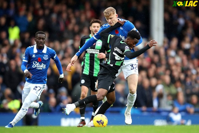 Brighton đối đầu Everton tại vòng 26 Ngoại Hạng Anh
