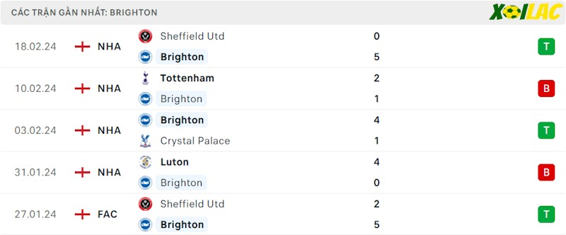 Phong độ gần đây Brighton