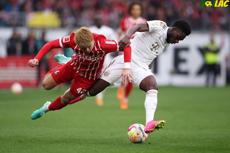 Vòng 24 Bundesliga Freiburg sẽ đối mặt với Bayern Munich Vòng 24 Bundesliga Freiburg sẽ đối mặt với Bayern Munich