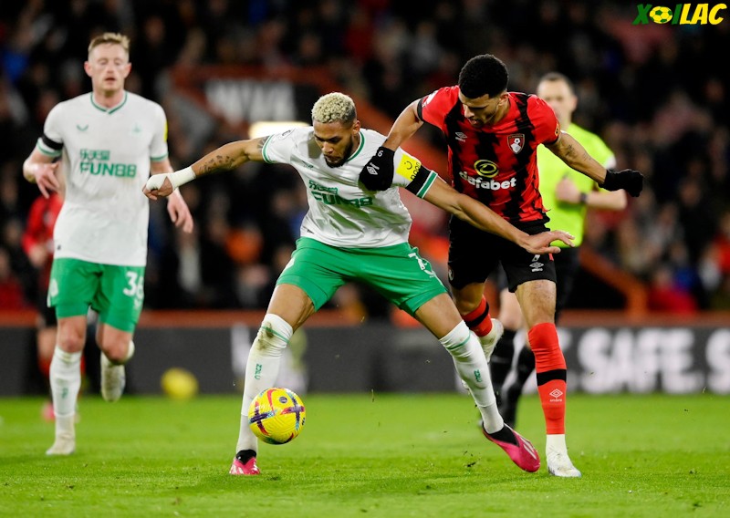 Newcastle đối đầu Bournemouth tại vòng 25 Ngoại Hạng Anh