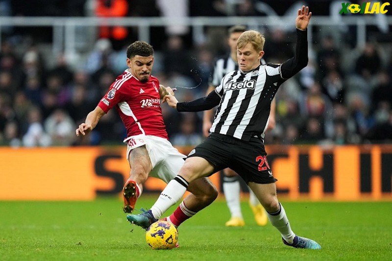 Nottingham Forest sẽ đối đầu với Newcastle tại vòng 24 Ngoại Hạng Anh