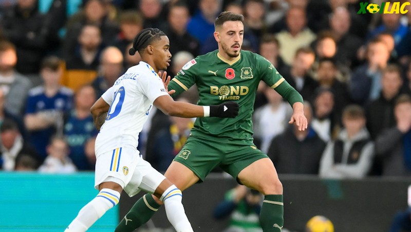 Cặp trận tại FA Cup giữa Plymouth Argyle vs Leeds được dự đoán vô cùng hấp dẫn Cặp trận tại FA Cup giữa Plymouth Argyle vs Leeds được dự đoán vô cùng hấp dẫn