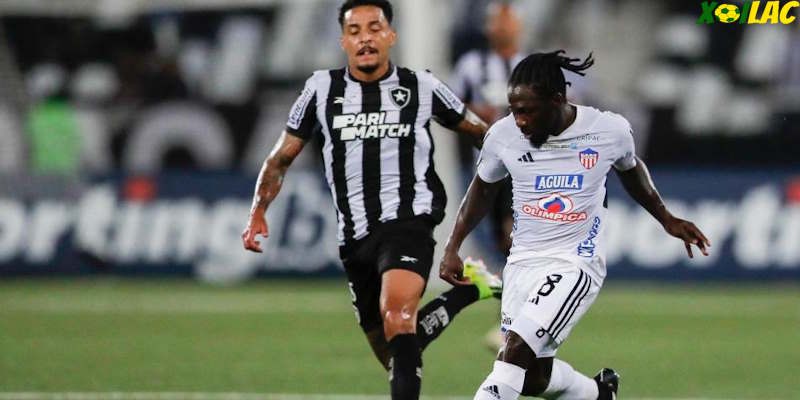 Junior sẽ đối đầu với Botafogo RJ tại lượt về bảng D Copa Libertadores