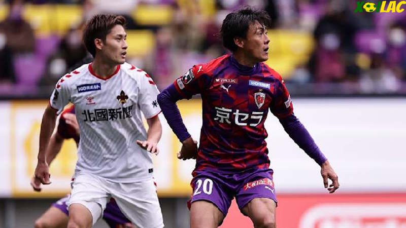 Sanfrecce Hiroshima có màn tiếp đón Tokyo Verdy trên sân nhà Sanfrecce Hiroshima có màn tiếp đón Tokyo Verdy trên sân nhà