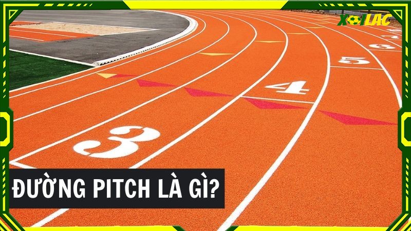 Tìm hiểu khái niệm đường pitch là gì? Tìm hiểu khái niệm đường pitch là gì?