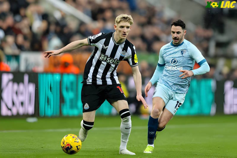 Bournemouth sẽ đối đầu với Newcastle tại vòng 2 Ngoại Hạng Anh