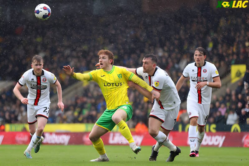 Norwich City se đối đầu với Sheffield United tại vòng 2 hạng nhất Anh Norwich City se đối đầu với Sheffield United tại vòng 2 hạng nhất Anh