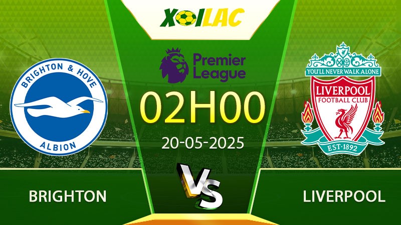Soi kèo Brighton vs Liverpool