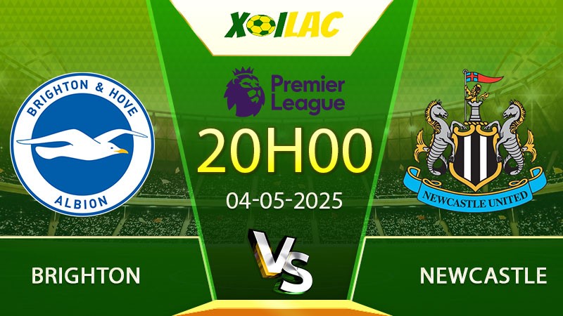 Soi kèo Brighton vs Newcastle